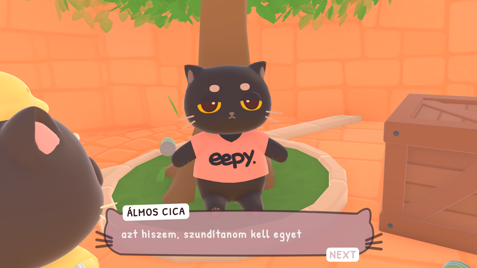 ...